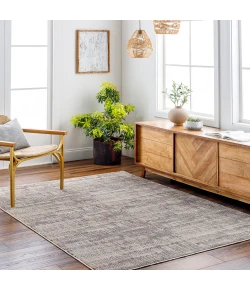 Livabliss Aida AAD2304 Ivory Medium Gray Area Rug 7 ft. 10 in. X 9 ft. 8 in. Rectangle