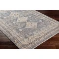Surya Aida Rug AAD2305