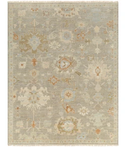 Surya Antalya AAT2300 Medium Brown Beige Area Rug 10 ft. X 14 ft. Rectangle