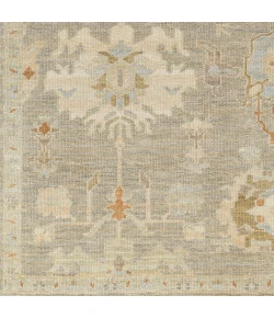 Surya Antalya AAT2300 Medium Brown Beige Area Rug 10 ft. X 14 ft. Rectangle