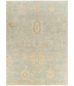 Surya Antalya AAT2310 Sage Light Blue Area Rug 10 ft. X 14 ft. Rectangle