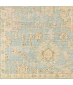 Surya Antalya AAT2310 Sage Light Blue Area Rug 10 ft. X 14 ft. Rectangle
