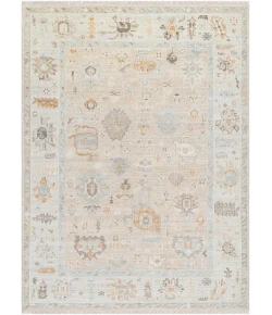 Surya Antalya AAT2314 Area Rug 10 ft. X 14 ft. Rectangle