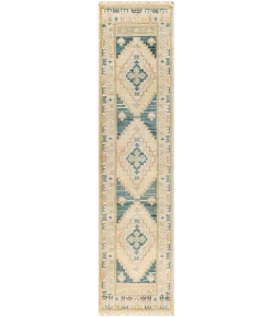 Surya Anadolu AAU2301 Teal Deep Teal Area Rug 2 ft. 6 in. X 10 ft. Runner