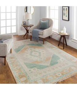 Surya Anadolu AAU2303 Sage Blush Area Rug 2 ft. X 3 ft. Rectangle