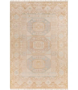 Surya Anadolu AAU2304 Aqua Blush Area Rug 10 ft. X 14 ft. Rectangle