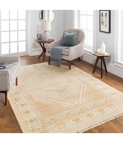 Surya Anadolu AAU2305 Blush Beige Area Rug 10 ft. X 14 ft. Rectangle