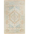 Surya Anadolu AAU-2309 4' x 6' Rug