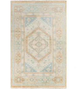 Surya Anadolu AAU2309 Aqua Peach Area Rug 4 ft. X 6 ft. Rectangle