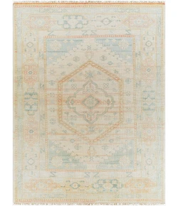 Surya Anadolu AAU2309 Aqua Peach Area Rug 8 ft. X 10 ft. Rectangle