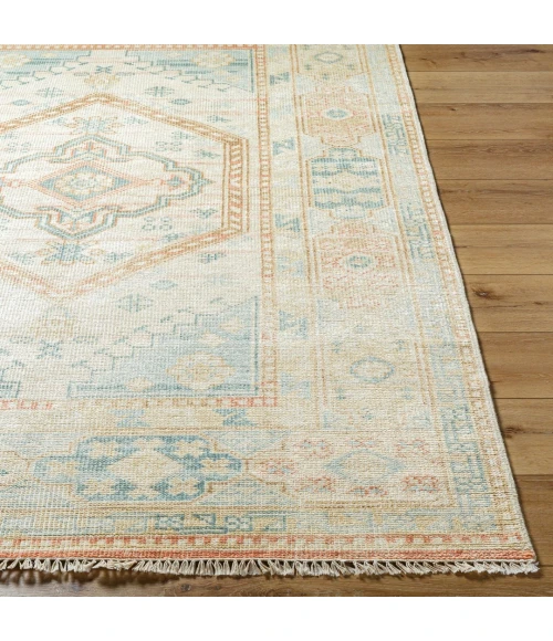 Surya Anadolu AAU-2309 4' x 6' Rug