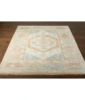 Surya Anadolu AAU-2309 4' x 6' Rug