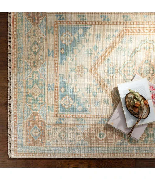 Surya Anadolu AAU-2309 4' x 6' Rug