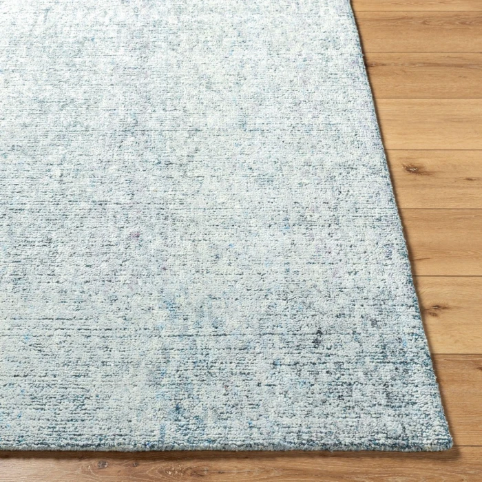 Alicia ACS-2301 2' x 3' Handmade Rug