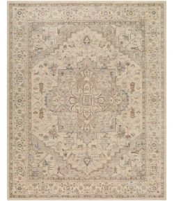 LIVABLISS Arda Light Gray ACZ-2307 2ft.7in. x 10ft. Rect. Rug
