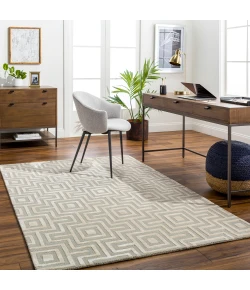 Surya Addison ADD2301 Beige Sage Area Rug 2 ft. X 3 ft. Rectangle