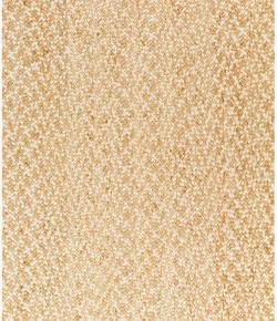 Surya Artesia AEA-2301 10' x 14' Rectangle Rug