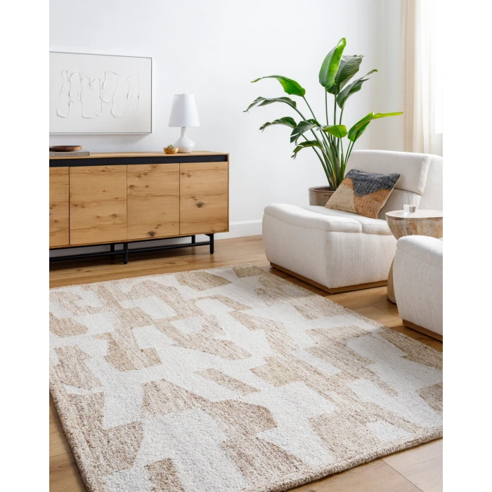 Andes AED-2302 8' x 10' Handmade Rug