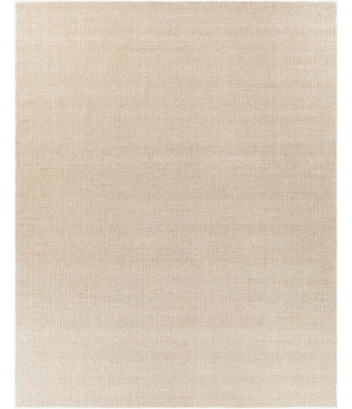 Surya Aiden AEN-1000-8x10 rug