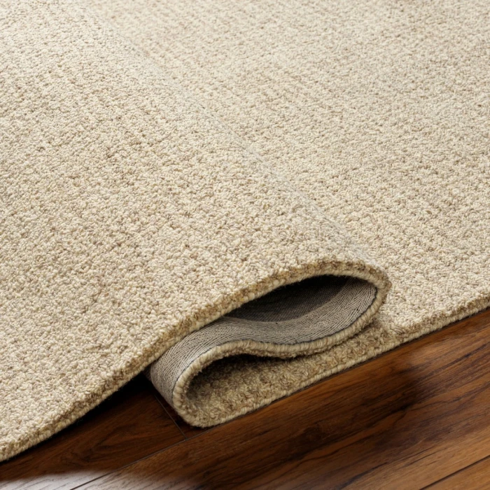 Surya Aiden AEN-1000 Area Rug