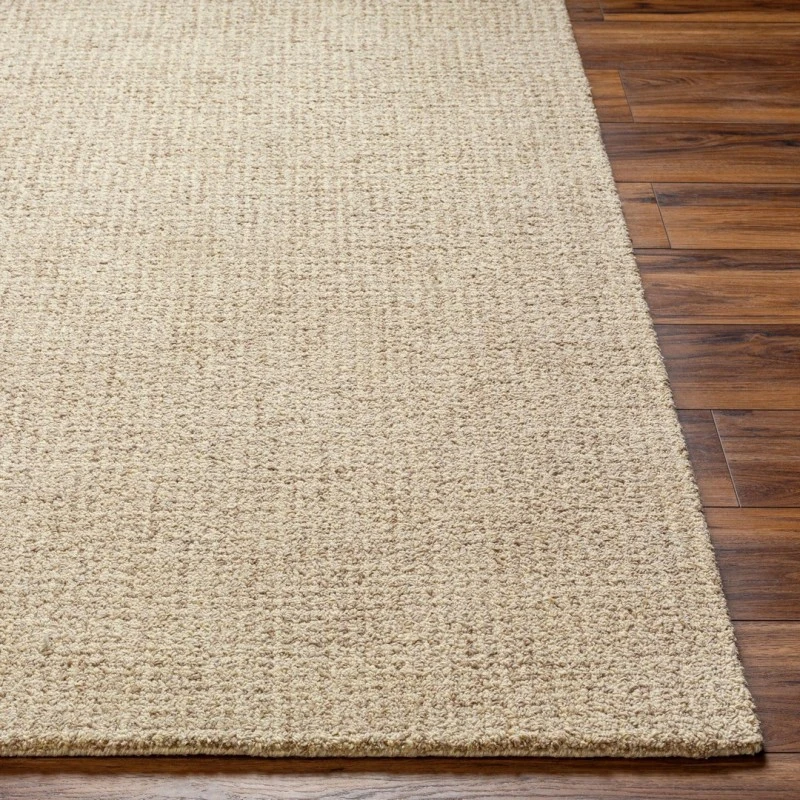 Surya Aiden AEN-1000-5x76 rug