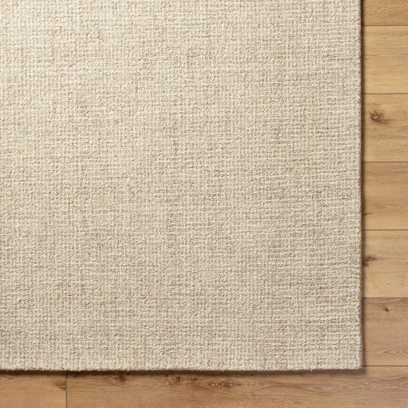 Surya Aiden AEN-1000-5x76 rug