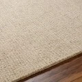 Surya Aiden AEN-1000-5x76 rug