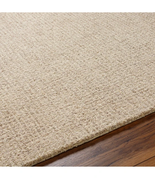 Surya Aiden AEN-1000 Area Rug