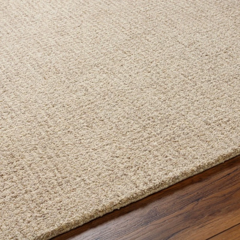 Surya Aiden AEN-1000-5x76 rug