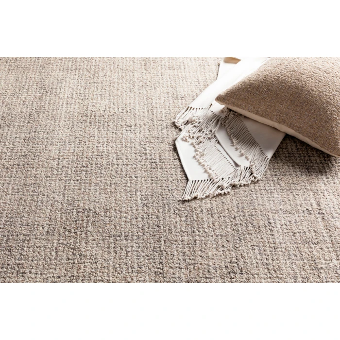 Surya Aiden AEN-1005-8x10 rug