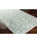 Surya Avera AER-1001-2x3 rug