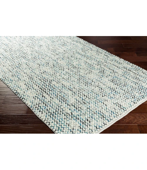 Surya Avera AER-1001-2x3 rug