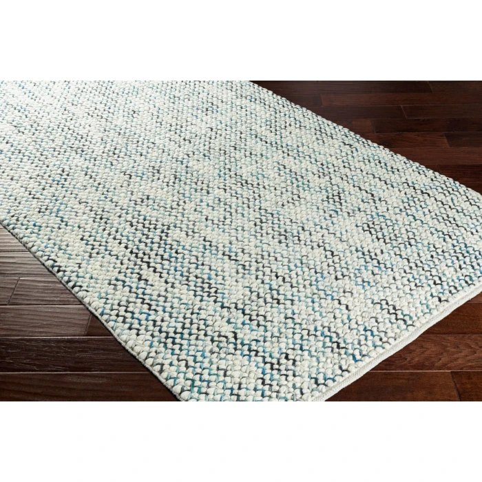 Surya Avera AER-1001-2x3 rug