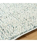 Surya Avera AER-1001-2x3 rug