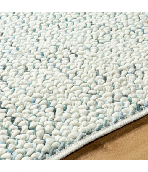 Surya Avera AER-1001-2x3 rug
