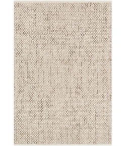 Surya Avera AER1002 Taupe Cream Area Rug 2 ft. X 3 ft. Rectangle