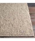 Surya Avera AER-1002-2x3 rug