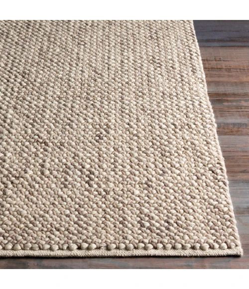 Surya Avera AER-1002-2x3 rug