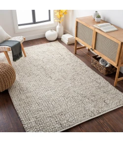 Surya Avera AER1002 Taupe Cream Area Rug 2 ft. X 3 ft. Rectangle