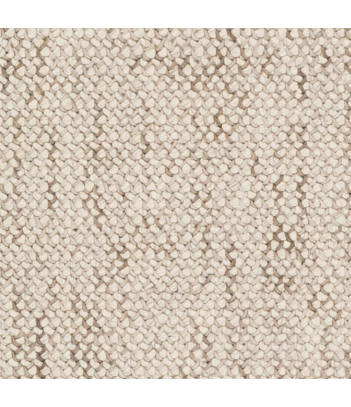 Surya Avera AER-1002-2x3 rug