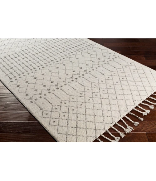 Surya Agadir AGD-1000 8 10 x 12  Rug