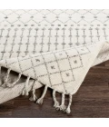 Surya Agadir AGD-1000 8 10 x 12  Rug