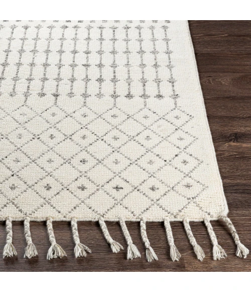 Surya Agadir AGD-1000 8 10 x 12  Rug
