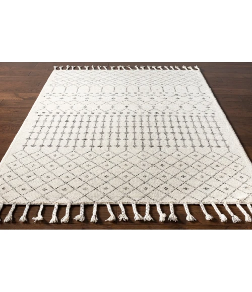 Surya Agadir AGD-1000 8 10 x 12  Rug