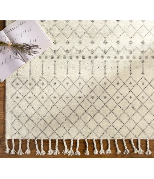 Surya Agadir AGD-1000 8 10 x 12  Rug