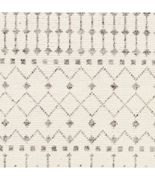 Surya Agadir AGD-1000 8 10 x 12  Rug