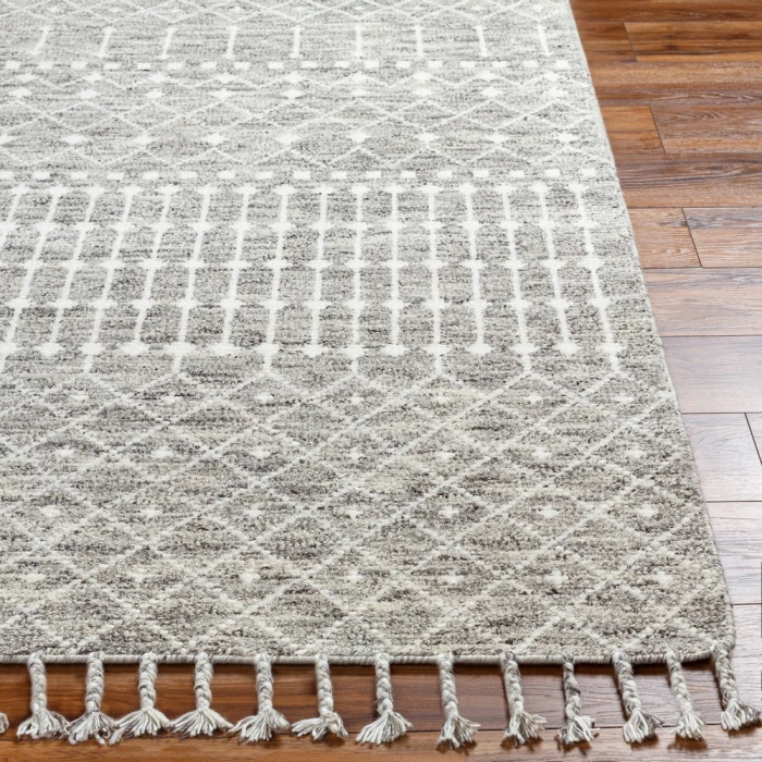 Surya Agadir AGD-1001 2  x 3  Rug