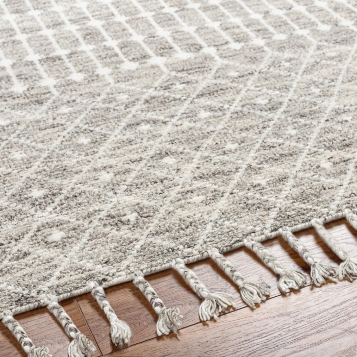 Surya Agadir AGD-1001 2  x 3  Rug
