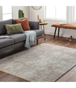 Livabliss Allegro Plus AGP2302 Light Grey Taupe Area Rug 5 ft. 3 in. X 7 ft. 3 in. Rectangle