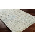 Livabliss Anaheim AHM-2300 2 x 3 Rug